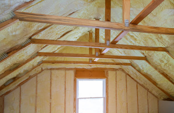 Best Geographic-Specific Insulation Services in Algona, IA
