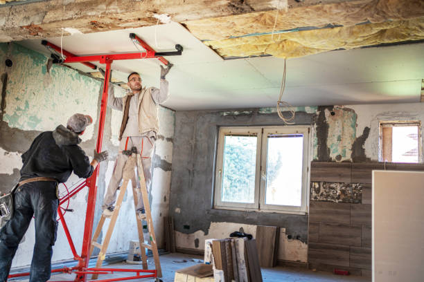 Best Specialized Insulation Services in Algona, IA