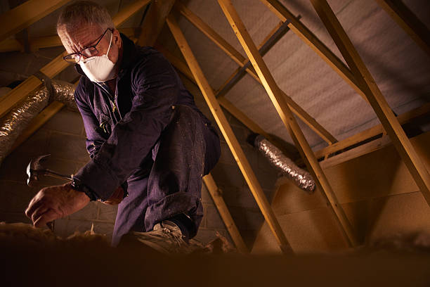 Best Cellulose Insulation in Algona, IA